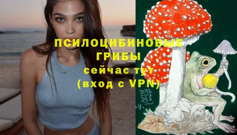 Псилоцибиновые грибы Magic Shrooms  Купино 